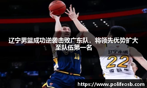 333体育
