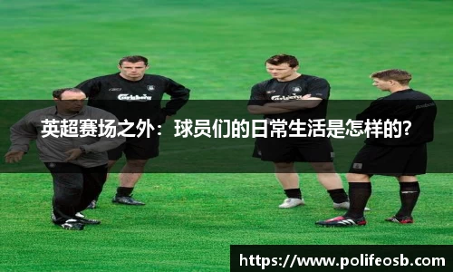 333体育官网