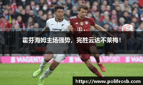 333体育官网